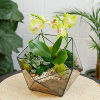 Подарки до 7500р