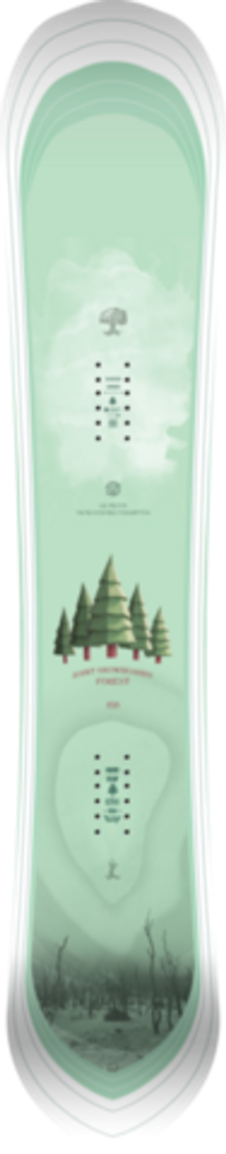 Сноуборд JOINT FOREST