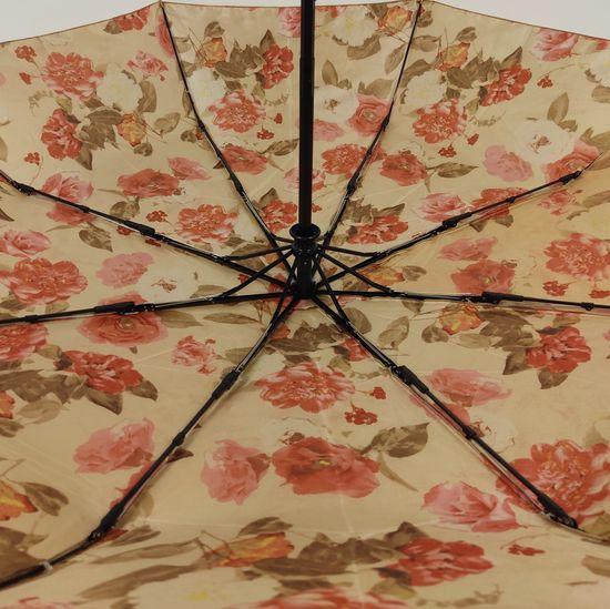 Женский зонт Три Слона, Полный автомат 3880-B-13