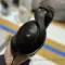 Sennheiser HD 620S Black