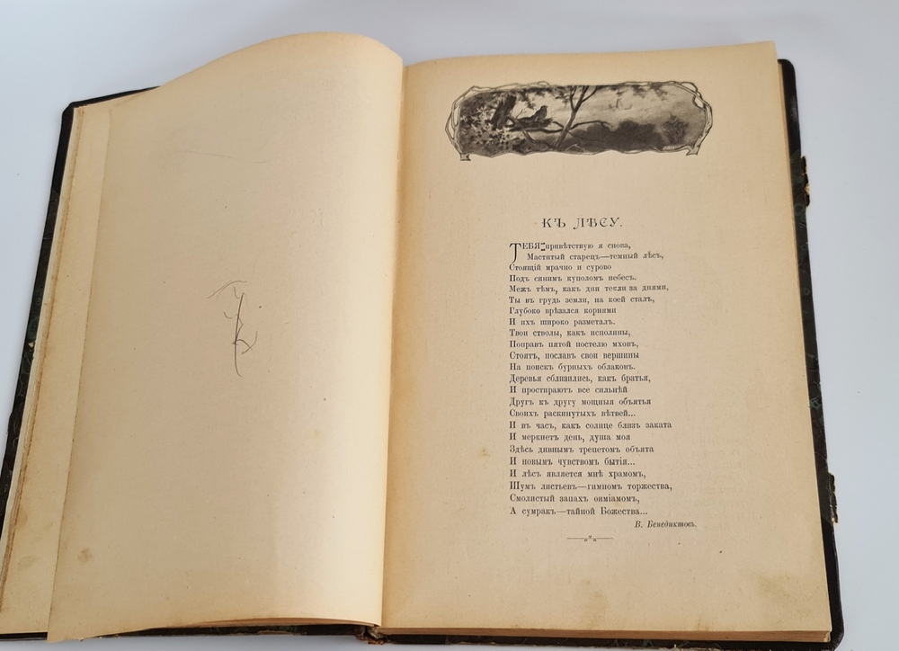 "Из родной природы". Д.Н.Кайгородов. 1907 г.