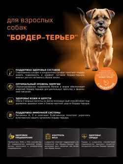 Корм сухой для собак породы Бордер-терьер, индейка 2,5 кг