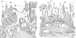 Mein Frühlingsspaziergang. Rita Berman. Coloring book