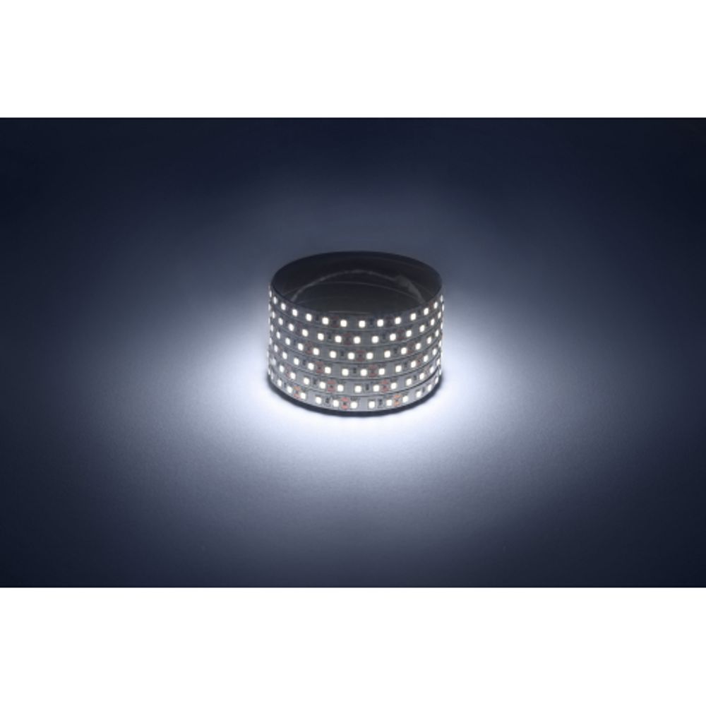 Светодиодная лента ЭРА LS2835-9,6-120-12-6500K-IP20-2year-5m холодный белый