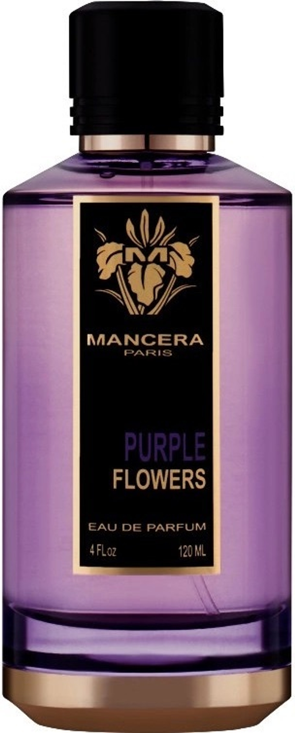 Mancera Purple Flowers