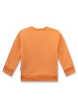 Толстовка Sanetta Kidswear 115664 2483