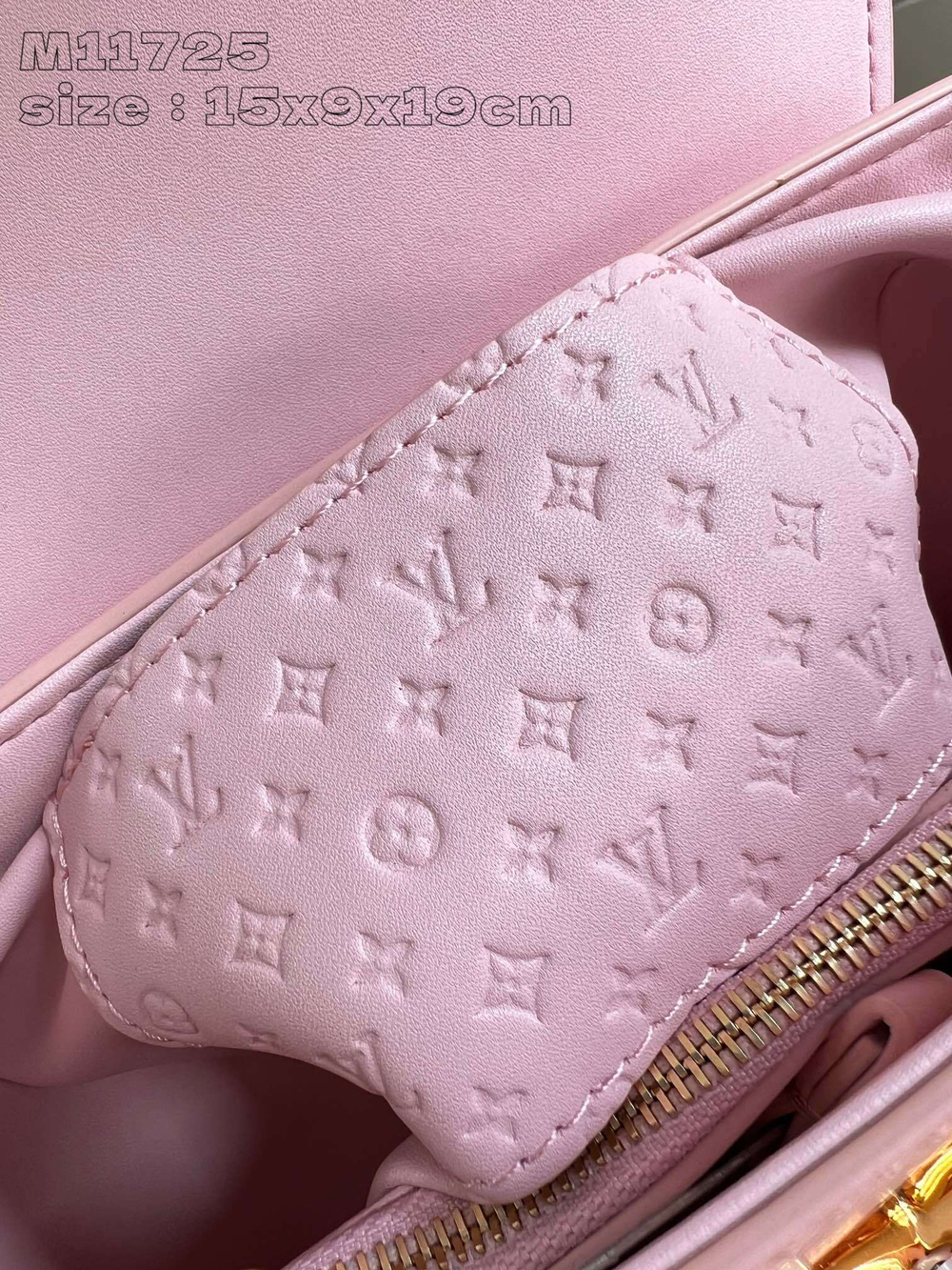 Louis Vuitton Twist PM