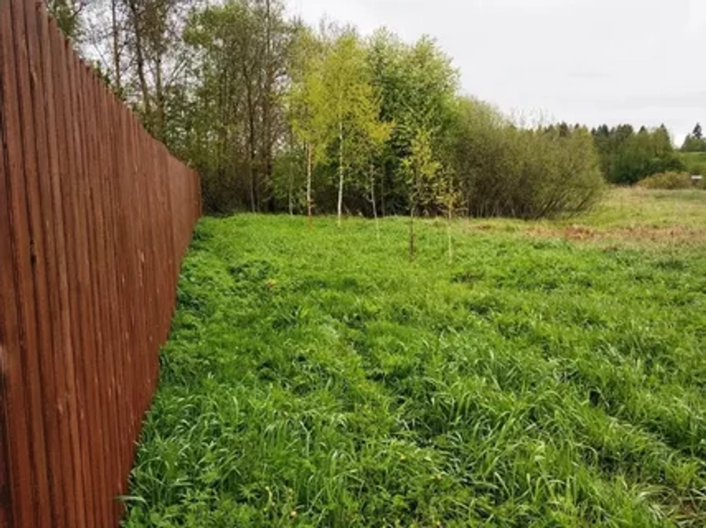 Участок снт лесное 7,5 соток