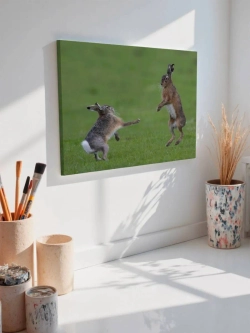 Картина на стену 40 X 50 Зайцы