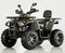 Квадроцикл TAO SHARK 200