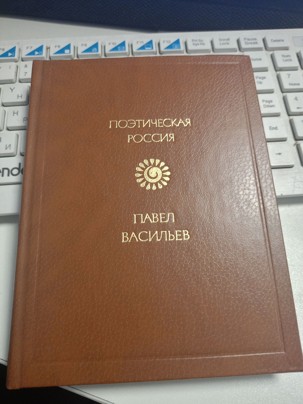 Поэтическая Россия. Васильев П.