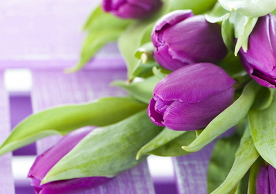 Фото на стекле "Весенний букет" Декор для дома, подарок