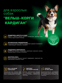 Корм для взрослых собак породы Вельш-корги кардиган, с ягненком, 12 кг, QUATTRO