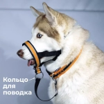 Недоуздок корректор поведения Спорт (Халти) для собак