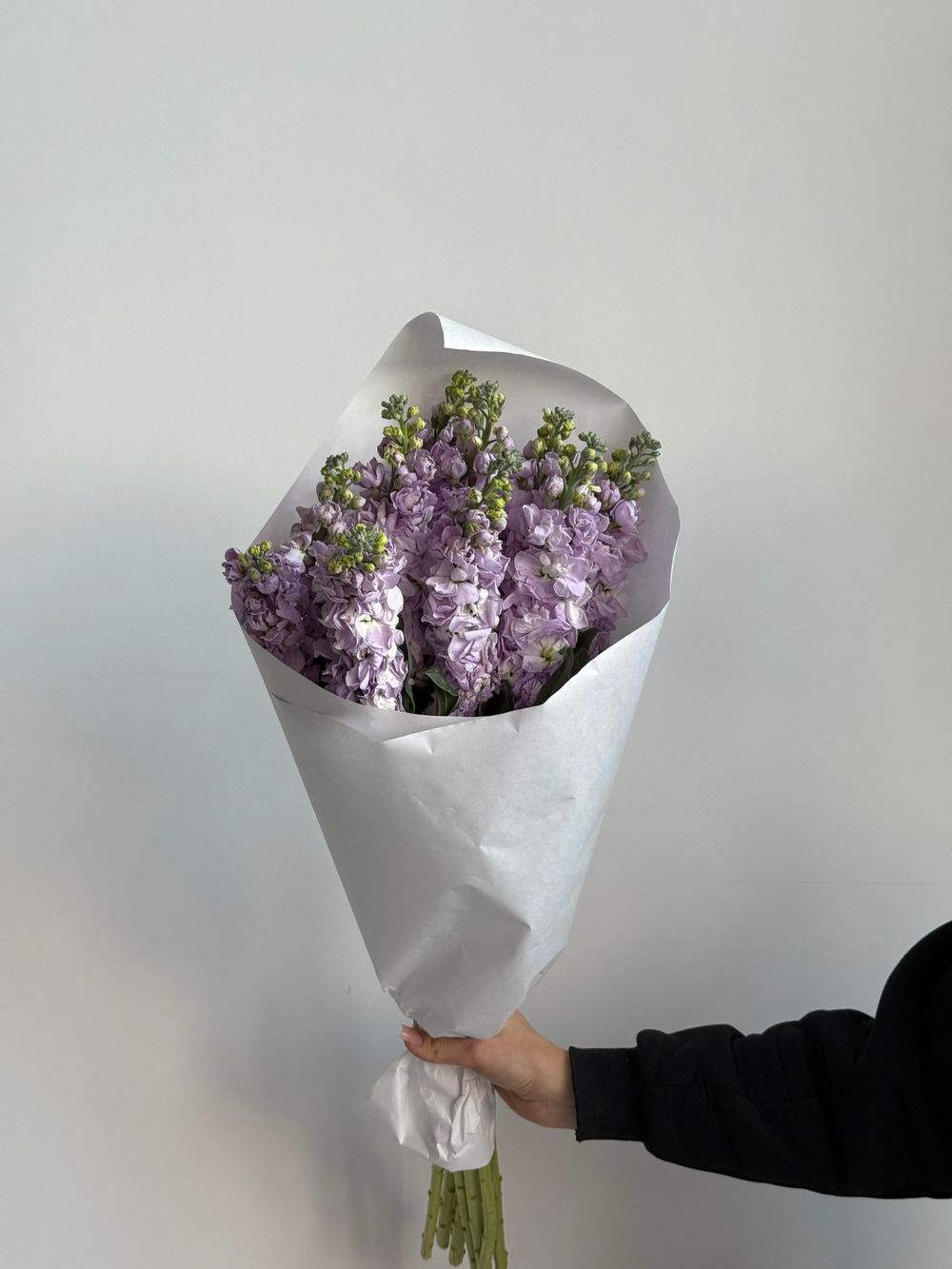 Охапка маттиолы в фиолетовом оттенке 10 шт