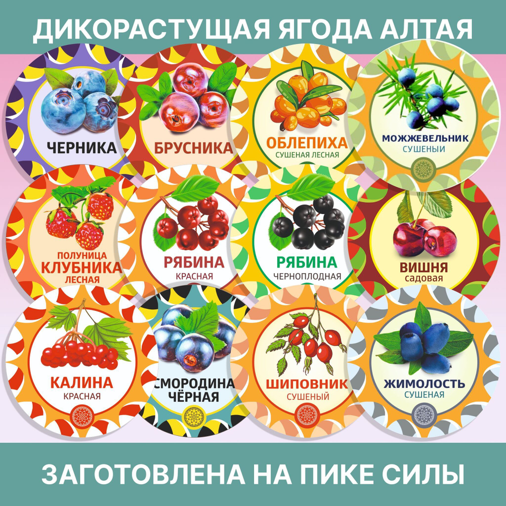 Ягель мох. Кладония.
