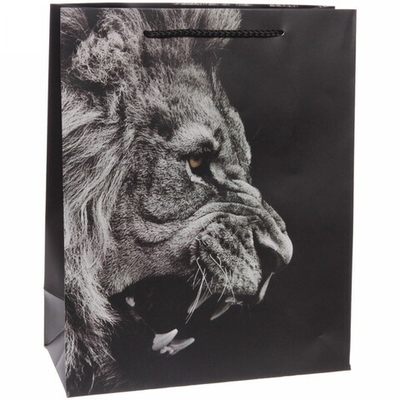 Пакет подарочный «Энергия» 32*26*12 см