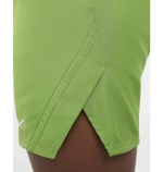 Шорты Nike M Dry Fit Advantage 7IN 350