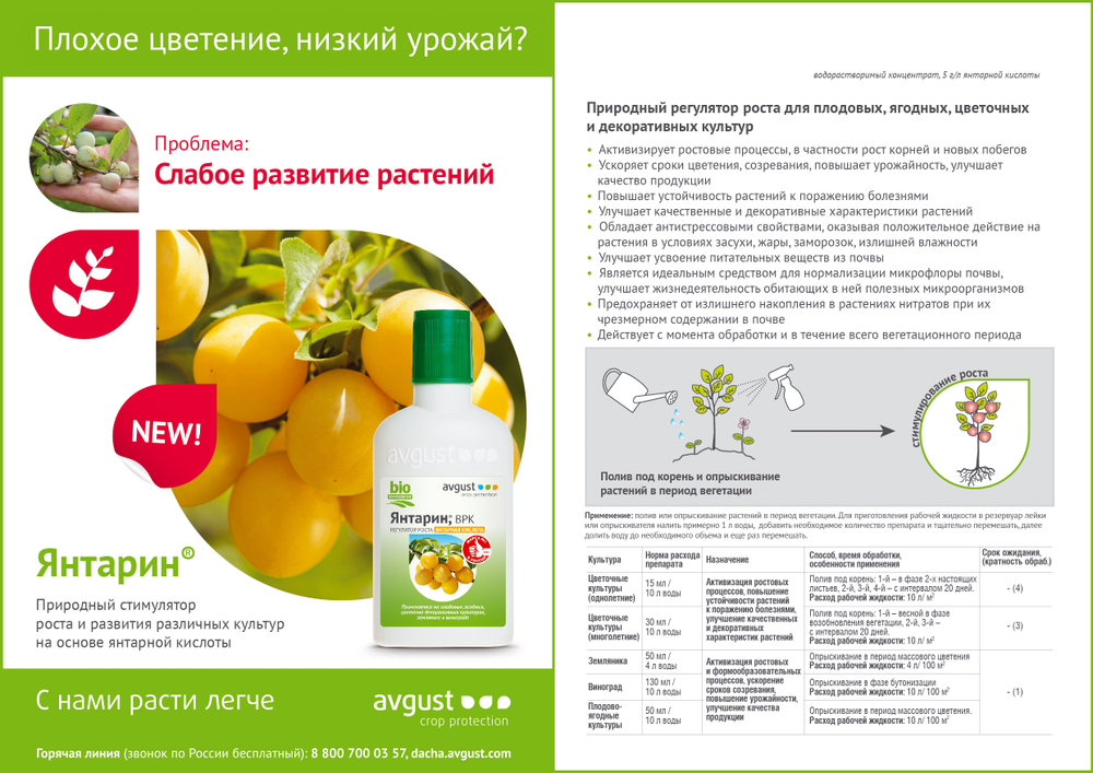 Регулятор роста цветочных, декоративных и плодовых культур Янтарин 100 мл