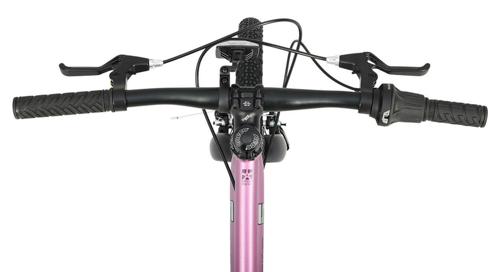 Детский велосипед Maxiscoo 5Bike 20'' Girl (2025)