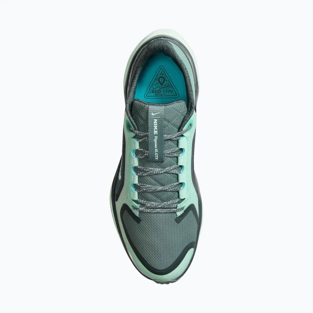 Женские Кроссовки для бега Nike Pegasus 41 GORE-TEX cannon/barely green/bleached turq