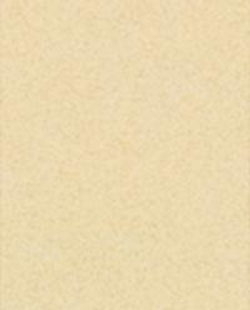 Наволочка Zara Home хлопок, лён 100%, однотонный, 3115/091 · арт. 3115/091-2