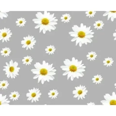 Клеенка ПВХ Делюкс Пленка 1,37 х 25 м.п 2584A