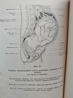 Половой вопрос. Естественно-научное, психологическое, гигиеническое и социологическое исследование