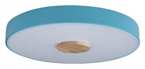 Накладной светильник Loft it 10003/24 Blue