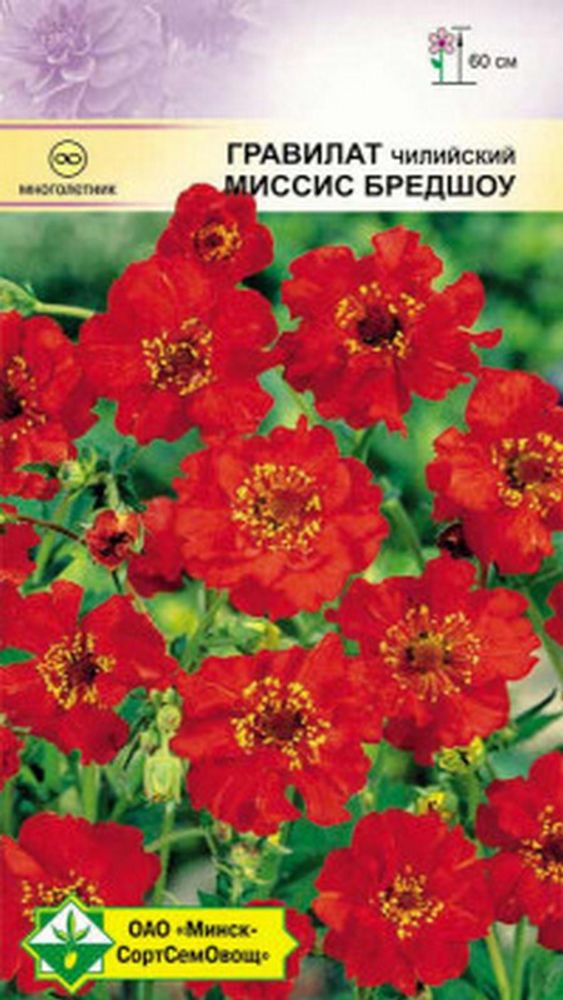 Гравилат чилийский "Миссис Бредшоу" 0.2г., Германия. Гравилат чилийский "Миссис Бредшоу" 0.2г., Германия.