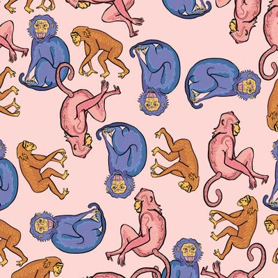 Обязьянки на свободе