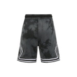 Шорты Jordan Logo, DZ0563-022
