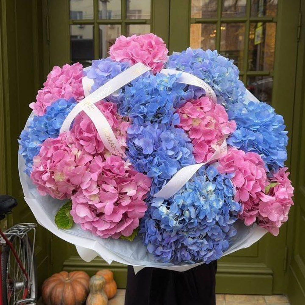 Hydrangeas 15