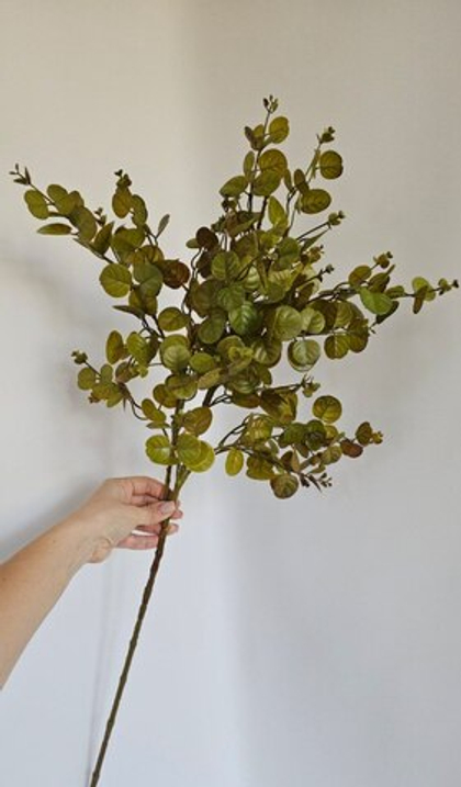 Эвкалипт / Арт 5136