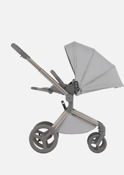 Anex Детская коляска Flo 2 в 1 Frossy