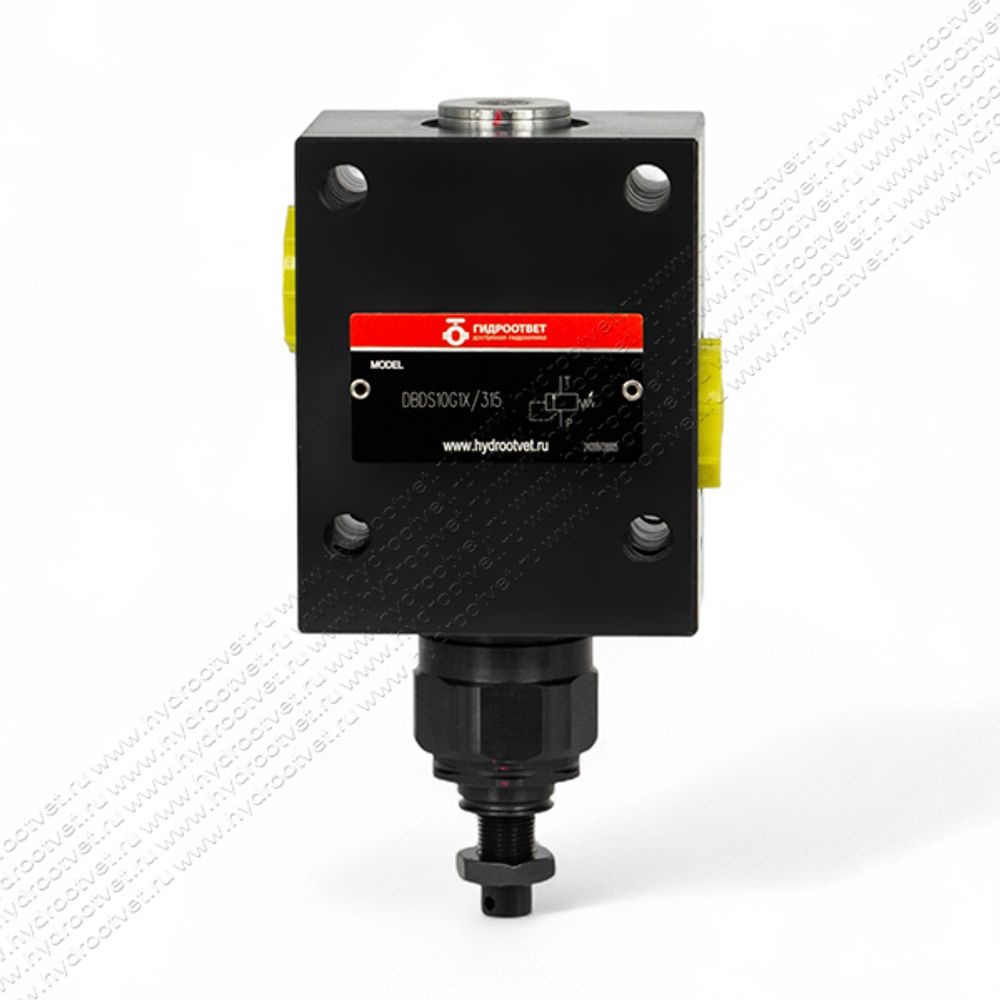DBDS10G1X/315
