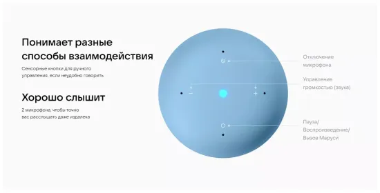 Умная колонка VK Капсула Нео (с часами), черный