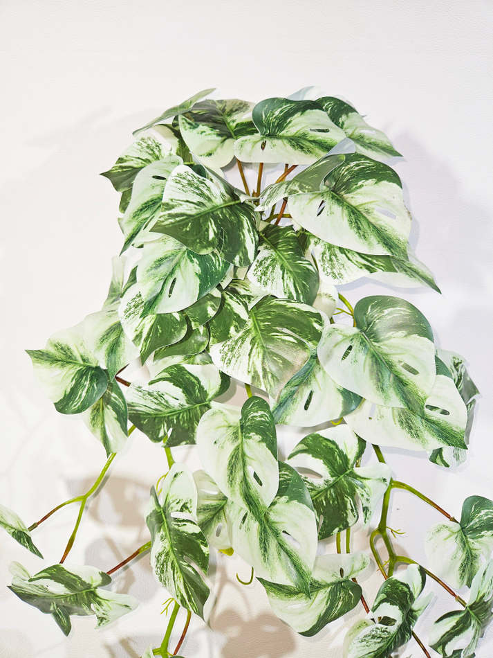 Искусственное ампельное растение Монстера Тайское созвездие в настенном белом кашпо