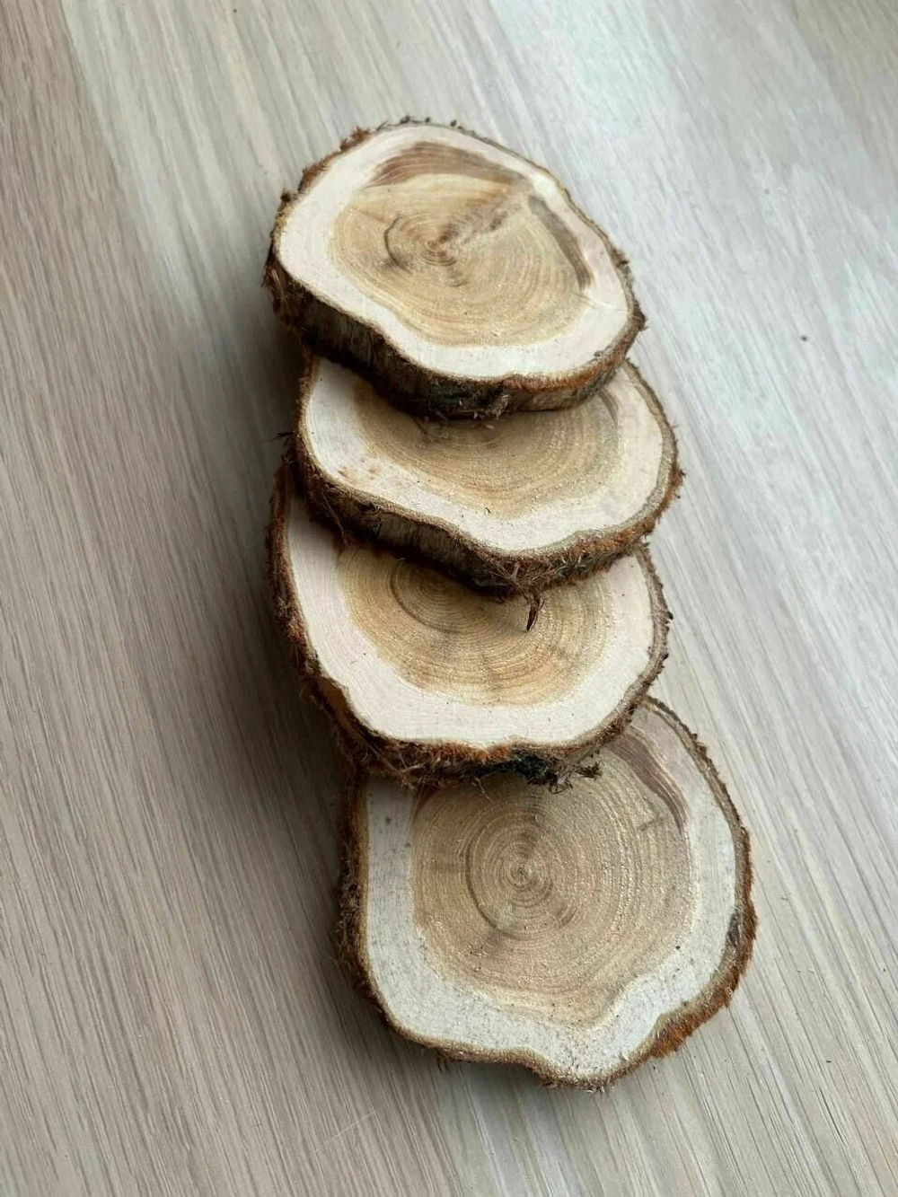 Можевельник спилы 4 шт диаметр 3-5см