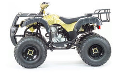 Квадроцикл MOTOLAND 250 Adventure (2021 Г.)