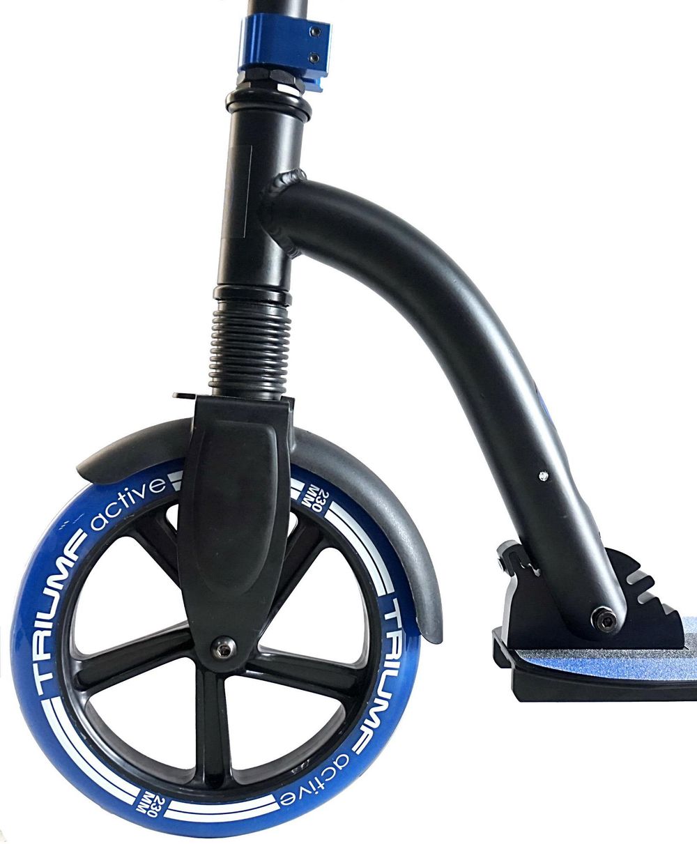 Самокат Triumf Active NL300-230