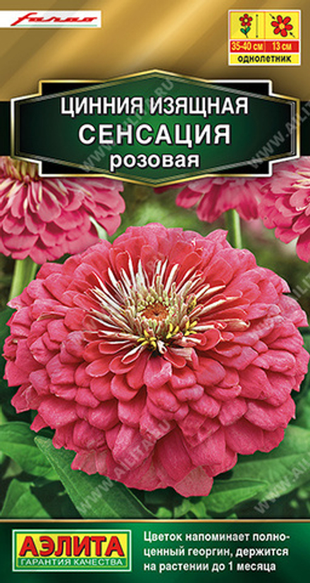 Циния Сенсация розовая 12шт Аэлита