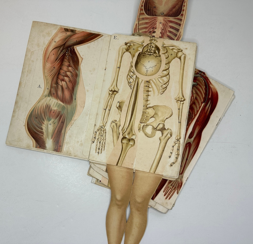 Платен М. Новый способ лечения. Лечение целебными силами природы. — Берлин: Изд. Просвещение, 1901