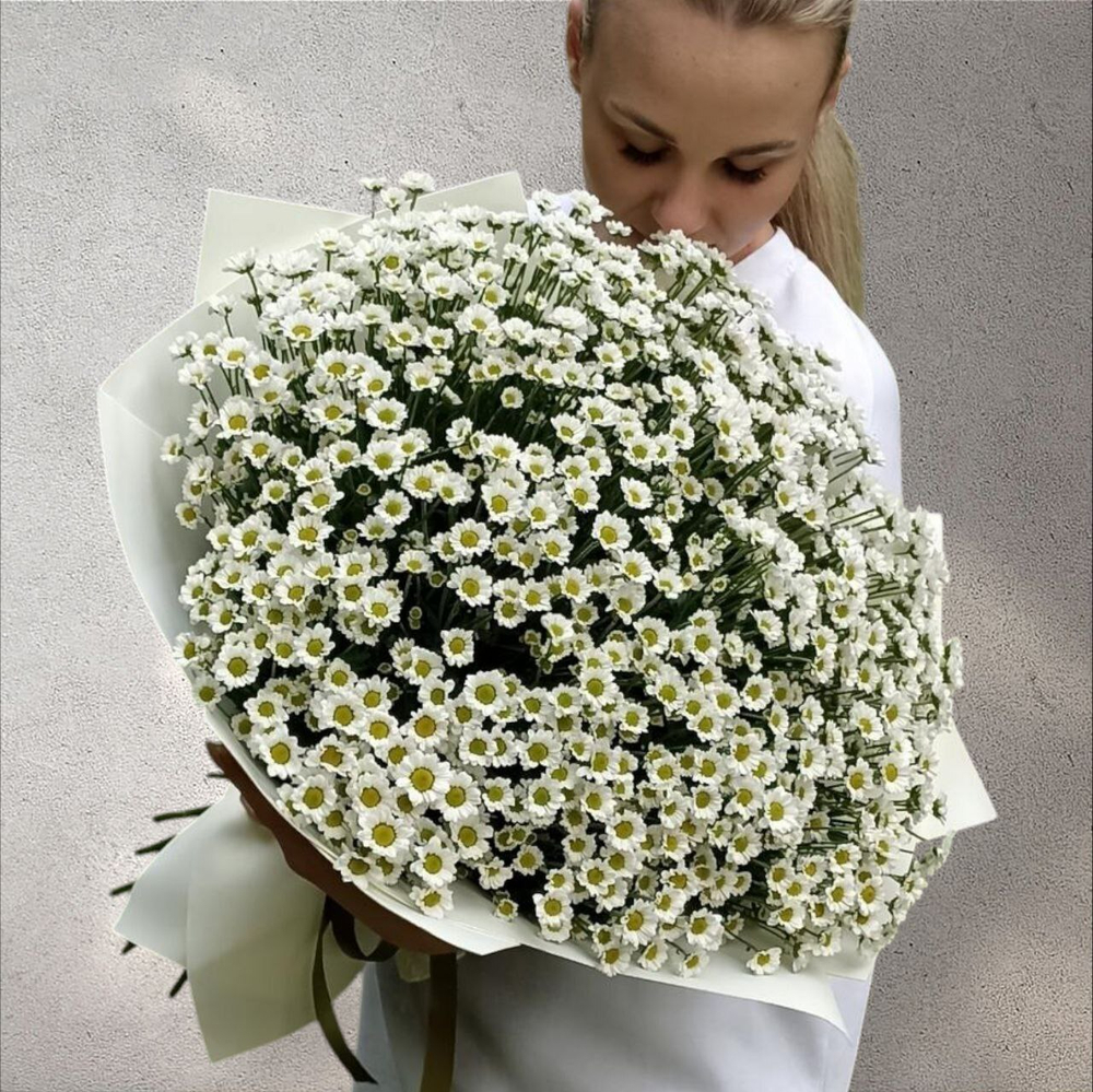 Ромашки-Милашки -XL