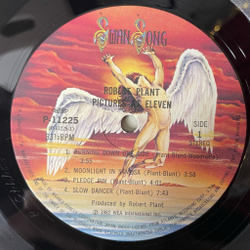Винтажная виниловая пластинка LP Robert Plant Pictures At Eleven (Japan 1982) (Obi)