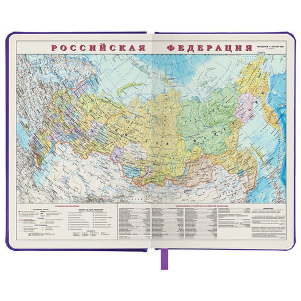 Ежедневник недатированный А5 138х213 мм BRAUBERG "Iguana", под кожу, 160 л., сиреневый, 114455