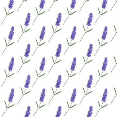Лаванда авкарель