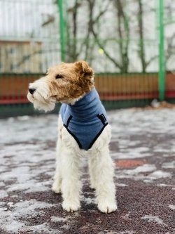 Свитер для собак на молнии попона
