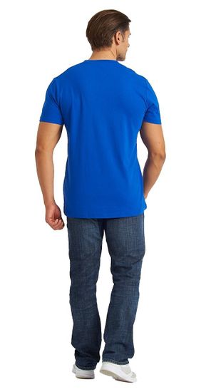 Футболка (василёк)