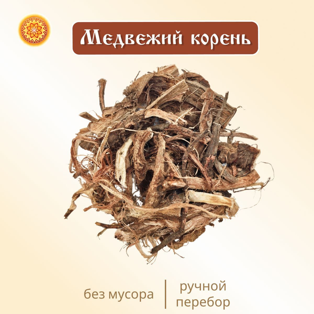 Медвежий корень Алтайский (Копеечник чайный/Красный корень).